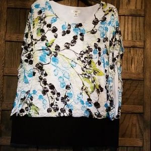 Womens plus Cato top
